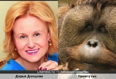 Дарья Донцова vs Орангутан