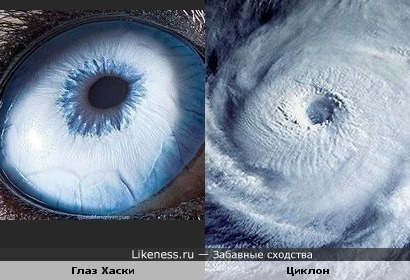 Глаз Хаски и циклон