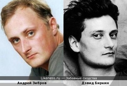 Андрей Зибров похож на Дэвида Биркина