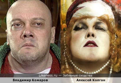 Владимир Комаров похож на Алексея Колгана