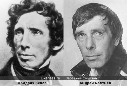 Фридрих Вёлер и Андрей Болтнев