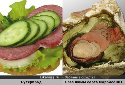 Бутерброд напоминает Срез яшмы сорта Моррисонит