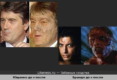 Ющенко превращается в муху?
