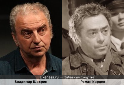 Владимир Шахрин похож на Романа Карцева
