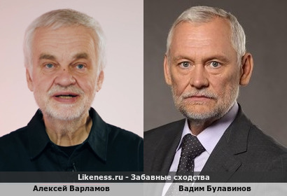 Алексей Варламов похож на Вадима Булавинова