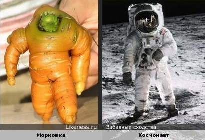 Морковь похожа на космонавта