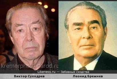 Виктор Суходрев и Леонид Брежнев