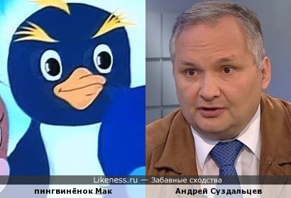 Пингвинёнок Мак и Андрей Суздальцев