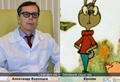 Александр Воронцов и Кролик