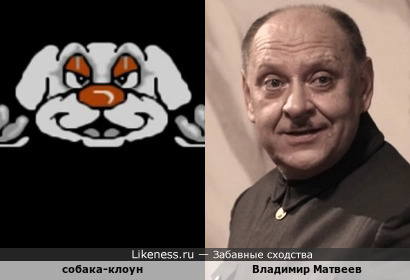Собака-клоун и Владимир Матвеев