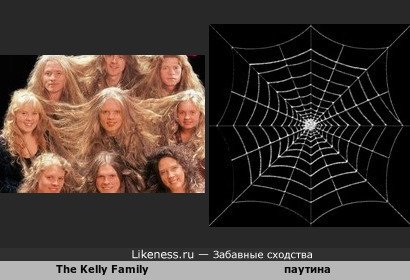 The Kelly Family и паутина