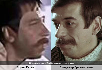 Борис Гитин похож на Владимира Грамматикова