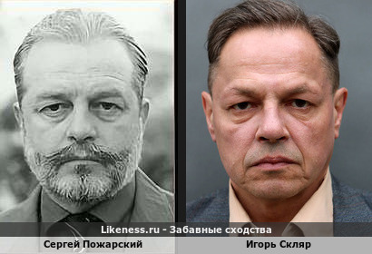 Сергей Пожарский похож на Игоря Скляра