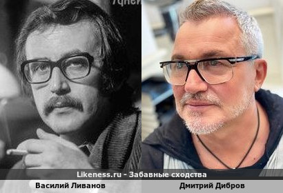 Василий Ливанов похож на Дмитрия Диброва