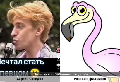 Сергей Соседов напоминает Розового фламинго