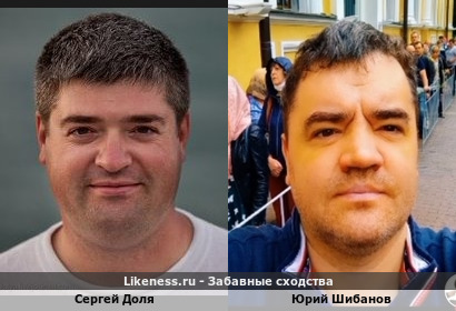 Сергей Доля похож на Юрия Шибанова