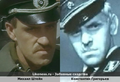Михаил Штейн похож на Константина Григорьева
