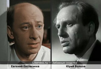 Евгений Евстигнеев похож на Юрия Волкова