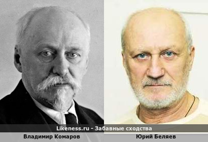 Владимир Комаров похож на Юрия Беляева