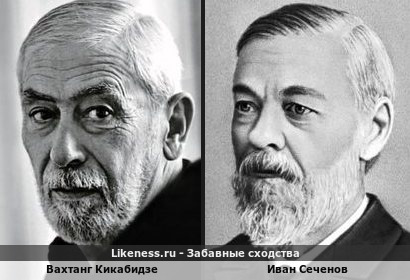 Вахтанг Кикабидзе похож на Ивана Сеченова