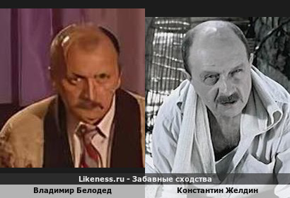 Владимир Белодед похож на Константина Желдина