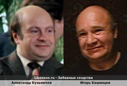 Александр Кузьмичев похож на Игоря Кашинцева