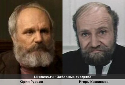 Юрий Гурьев похож на Игоря Кашинцева