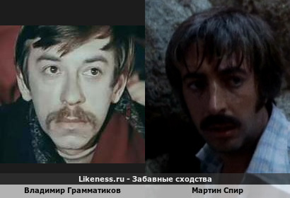 Владимир Грамматиков похож на Мартина Спира