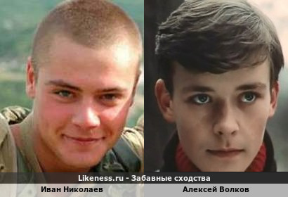 Иван Николаев похож на Алексея Волкова