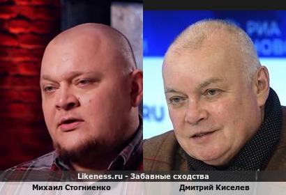 Михаил Стогниенко похож на Дмитрия Киселева