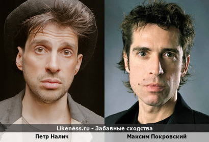 Петр Налич похож на Максима Покровского