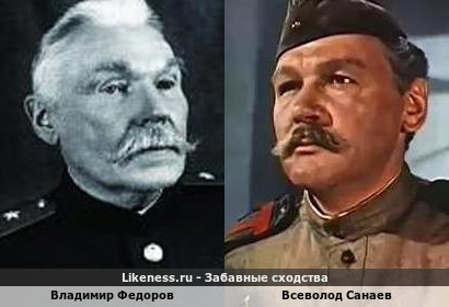 Владимир Федоров похож на Всеволода Санаева