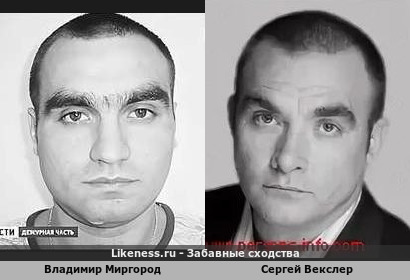 Владимир Миргород похож на Сергея Векслера