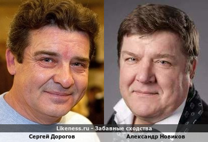 Сергей Дорогов похож на Александра Новикова
