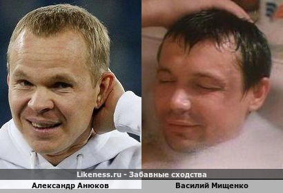 Александр Анюков похож на Василия Мищенко