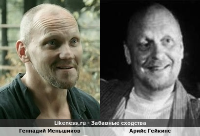 Геннадий Меньшиков похож на Арийса Гейкинса