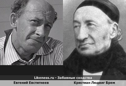 Евгений Евстигнеев похож на Кристиана Людвига Брема