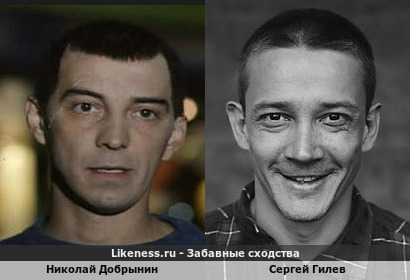 Николай Добрынин похож на Сергея Гилева