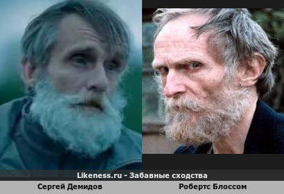 Сергей Демидов похож на Робертса Блоссома