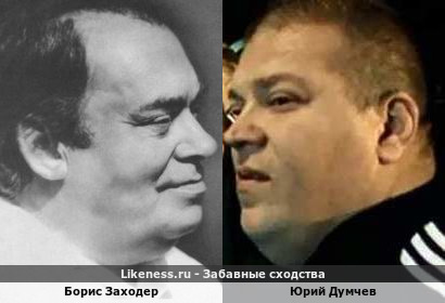 Борис Заходер похож на Юрия Думчева