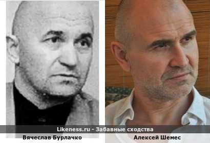 Вячеслав Бурлачко похож на Алексея Шемеса