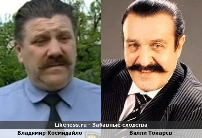 Владимир Космидайло похож на Вилли Токарева