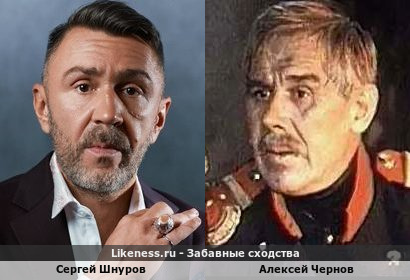 Сергей Шнуров похож на Алексея Чернова
