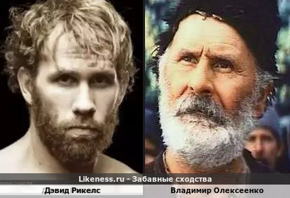 Дэвид Рикелс похож на Владимира Олексеенко