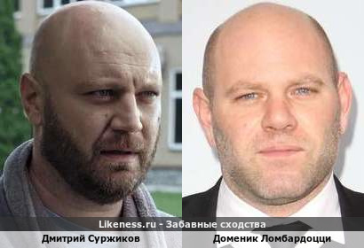 Дмитрий Суржиков похож на Доменика Ломбардоцци
