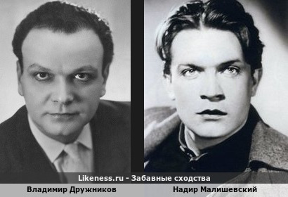 Владимир Дружников похож на Надира Малишевского