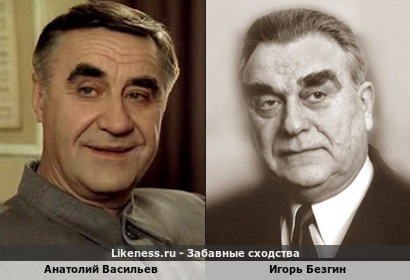 Анатолий Васильев похож на Игоря Безгина