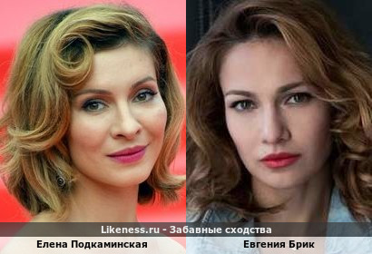 Елена Подкаминская похожа на Евгению Брик