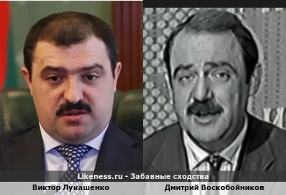 Виктор Лукашенко похож на Дмитрия Воскобойникова