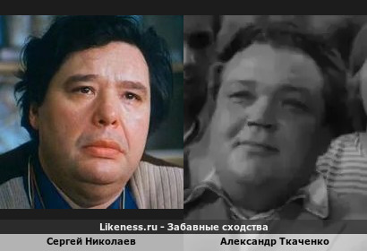 Сергей Николаев похож на Александра Ткаченко